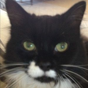 Meet your Posher, Phyllis